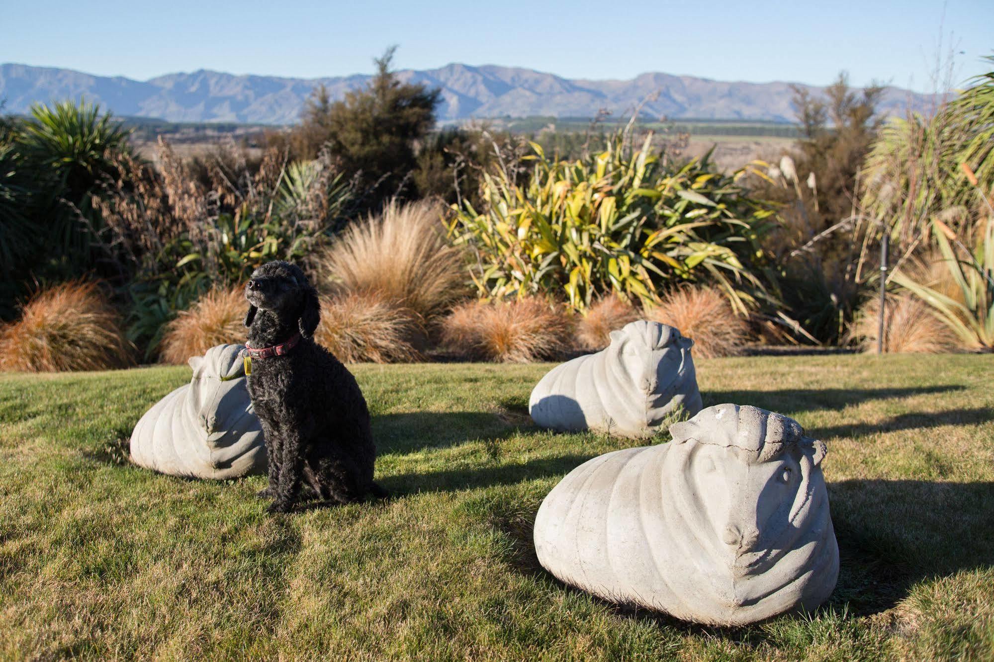 Riverview Terrace Wanaka Zewnętrze zdjęcie